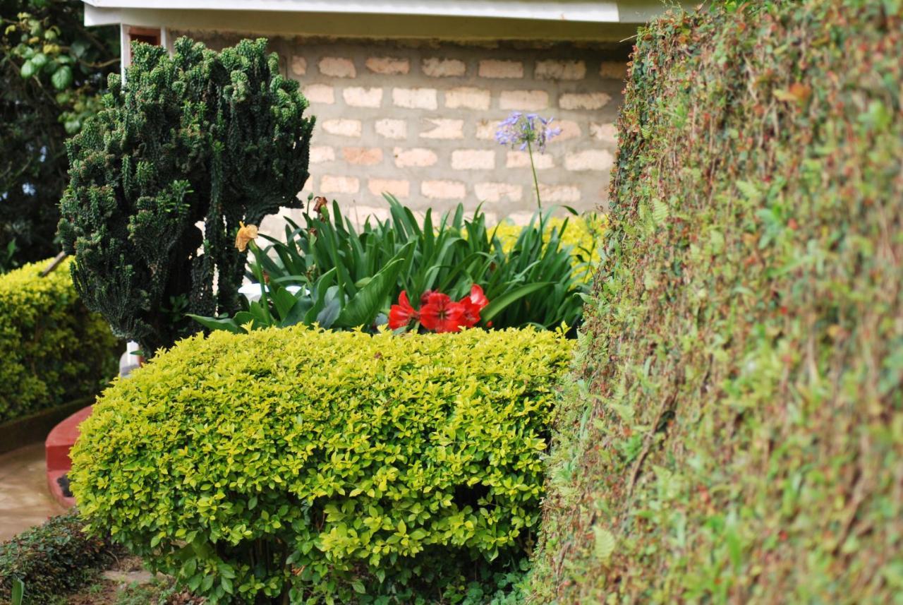 Crater Bay Cottages Kabale Esterno foto