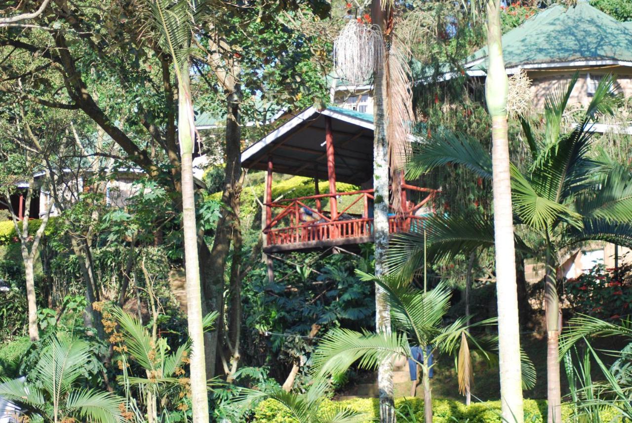 Crater Bay Cottages Kabale Esterno foto