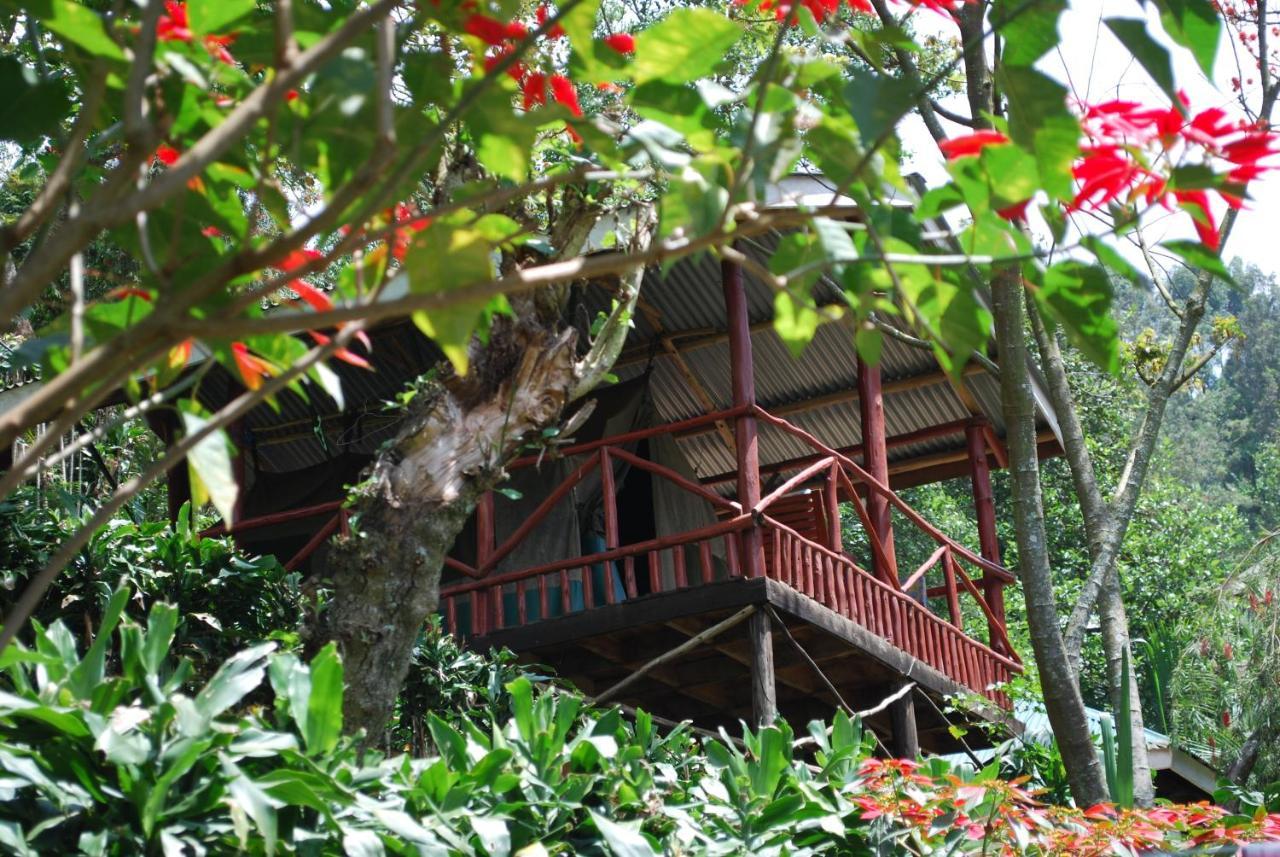 Crater Bay Cottages Kabale Esterno foto