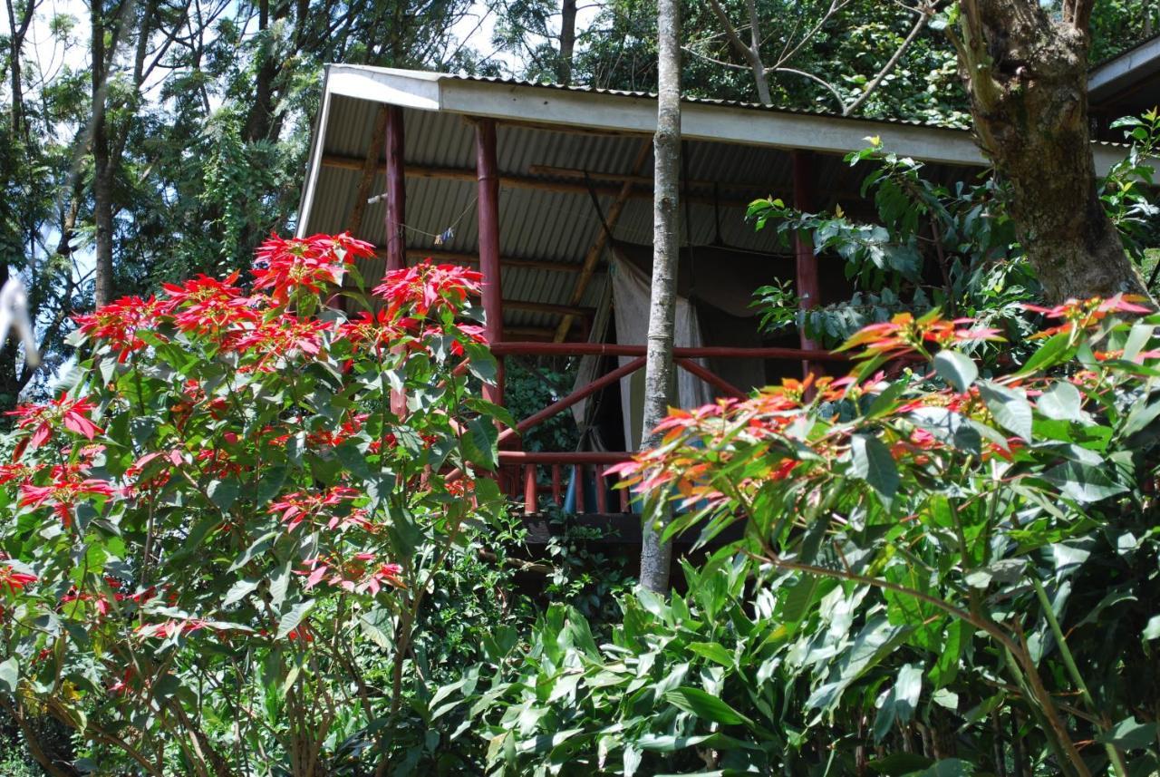 Crater Bay Cottages Kabale Esterno foto