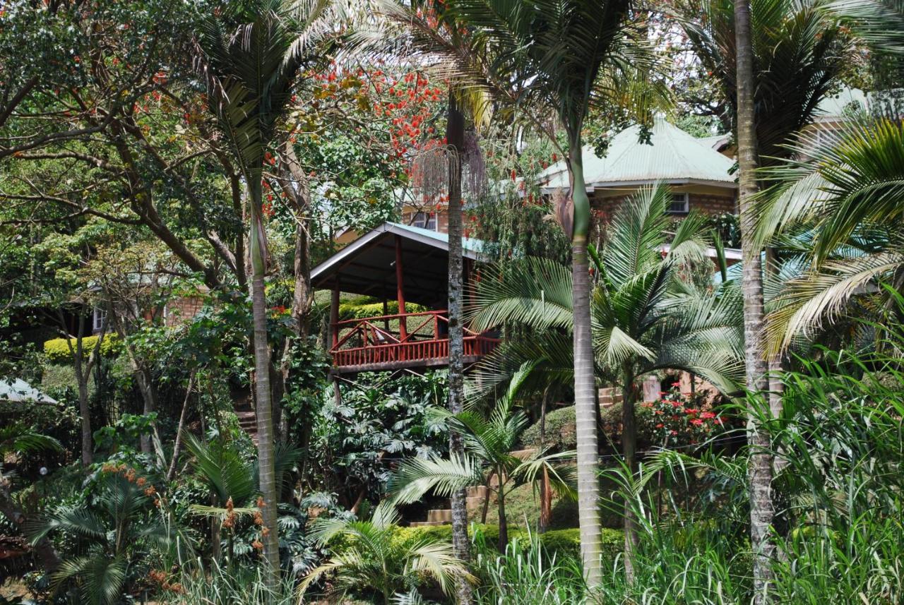 Crater Bay Cottages Kabale Esterno foto